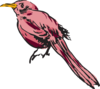 Pink Bird Art Clip Art